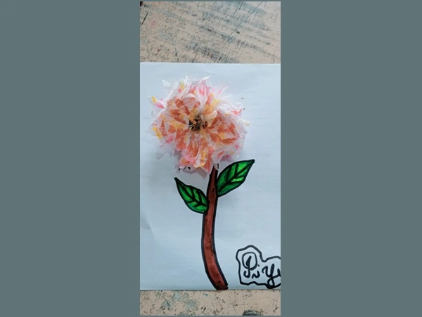 Traffic Awareness Program 